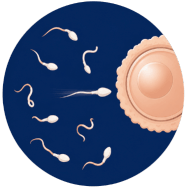 Poor-Sperm-Motility.png